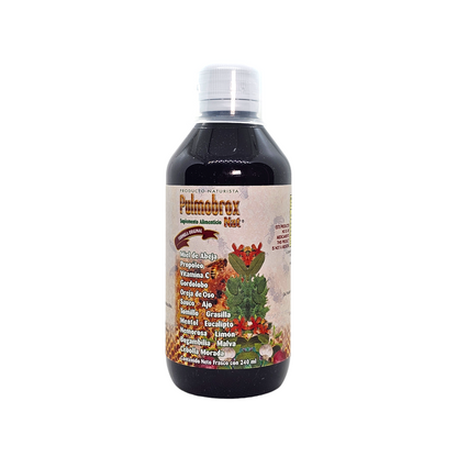 Jarabe Pulmobrox para Afecciones Respiratorias 240ml